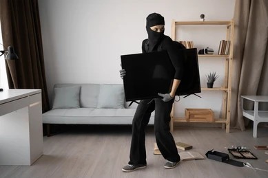 Theft / Burglary Insurance